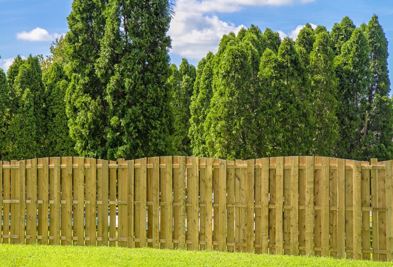 Privacy Fences